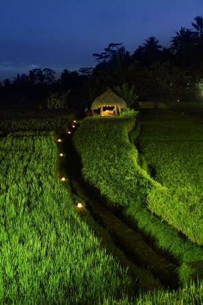 Property grounds - MATHIS Retreat Ubud (Ubud)