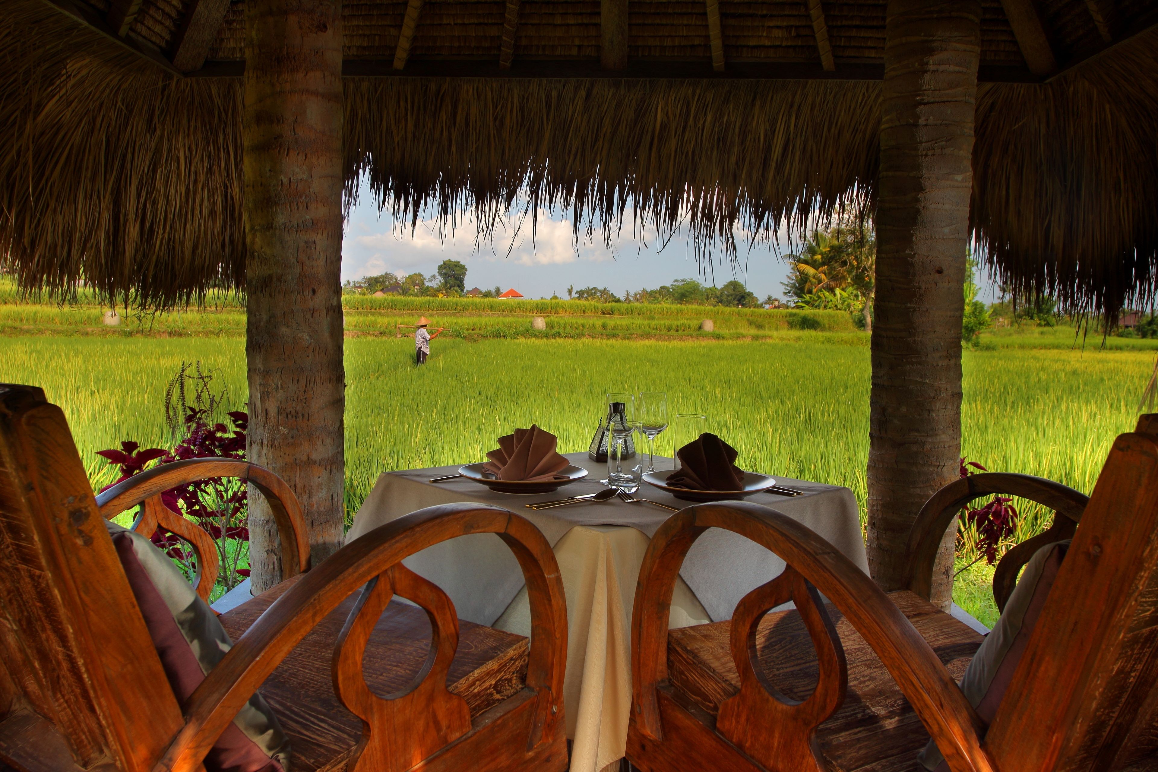 lunch and dinner served, indonesian cuisine