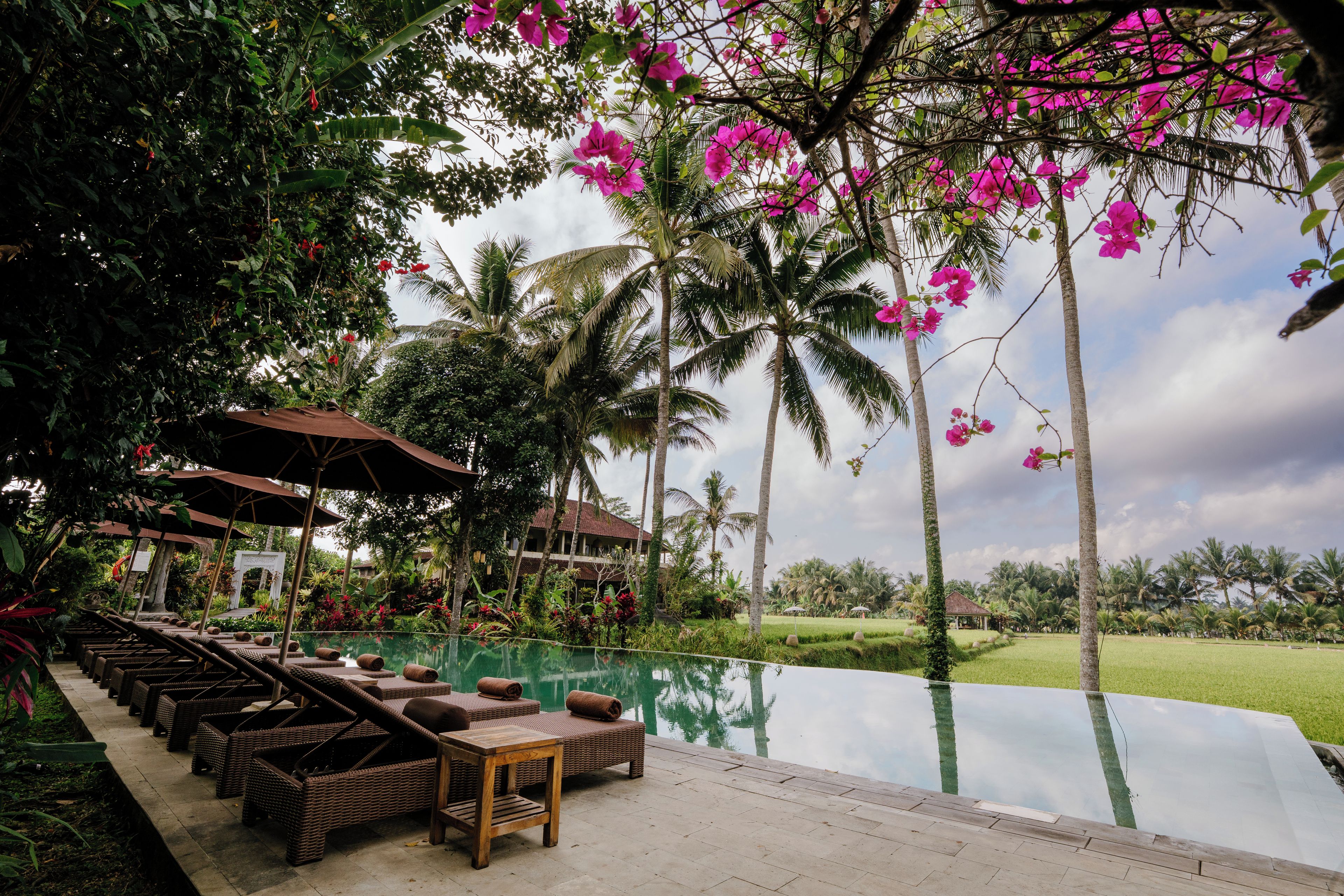 A poolside area with lounge chairs and umbrellas, surrounded by lush greenery and palm trees.