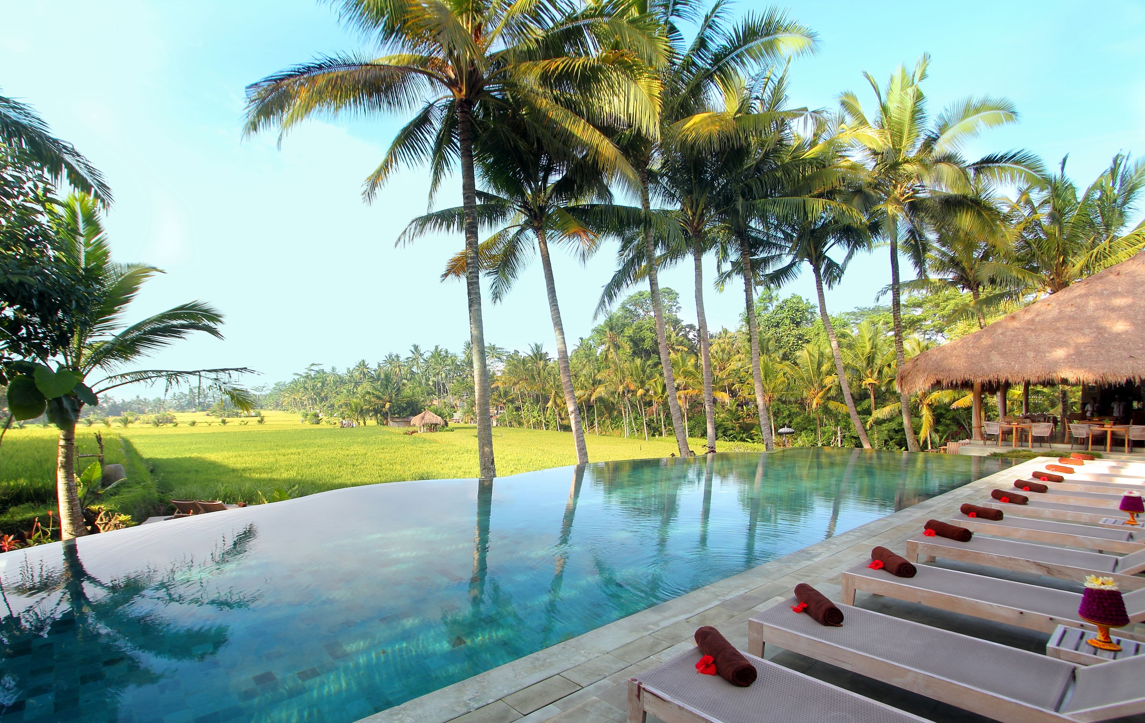 outdoor pool, open 8:00 am to 6:00 pm, pool umbrellas, pool loungers