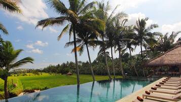Outdoor pool, open 8:00 AM to 6:00 PM, pool umbrellas, pool loungers
