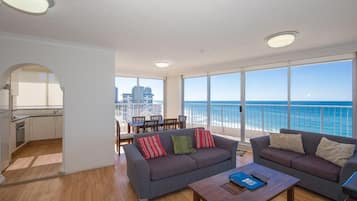 电视、DVD 播放器