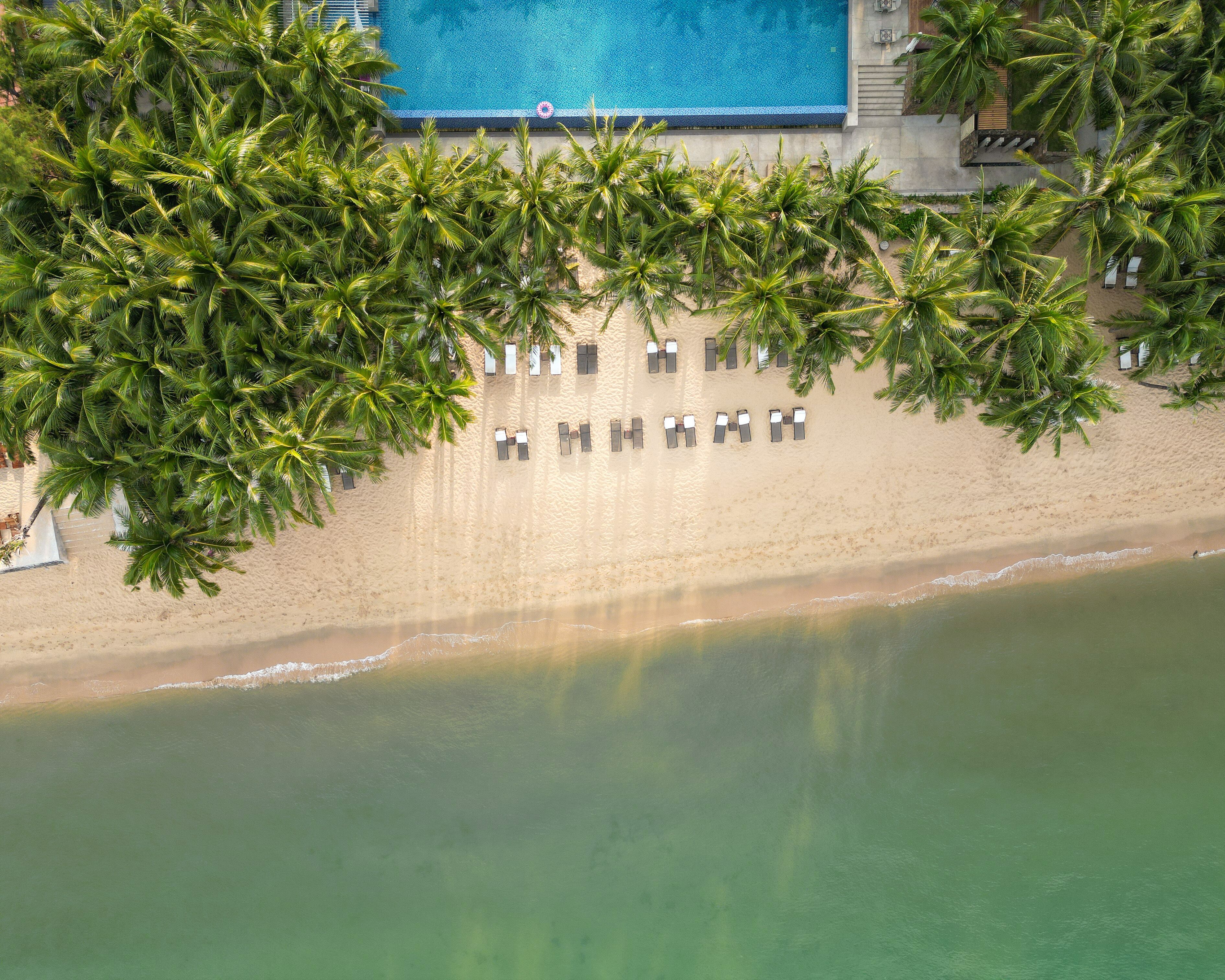 An aerial view of a beach with a swimming pool, palm trees, and sun loungers.