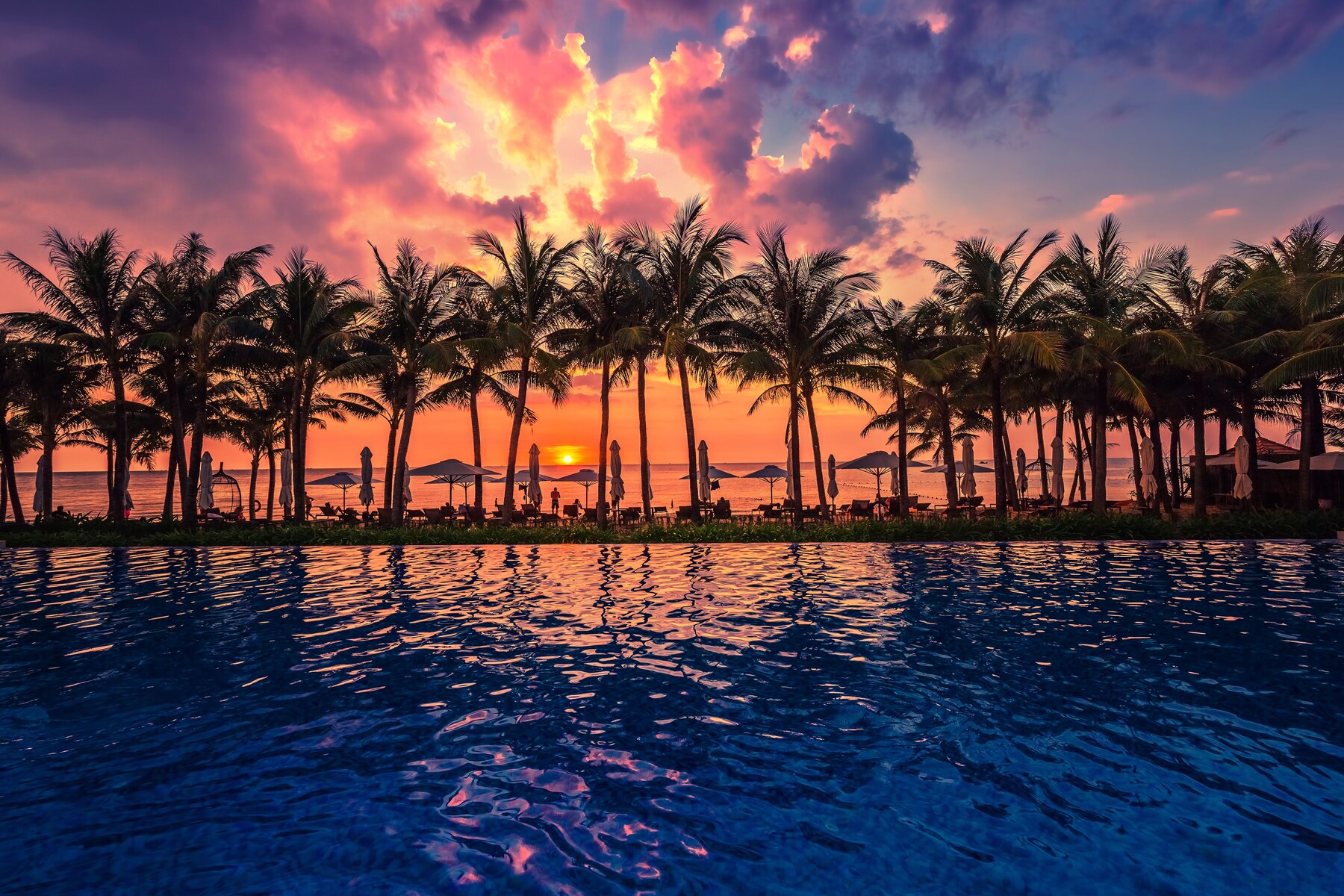 Outdoor pool, pool umbrellas, pool loungers