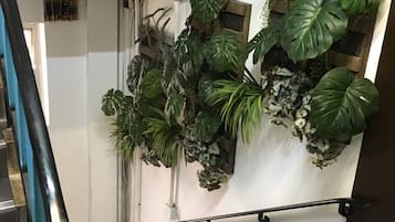外觀