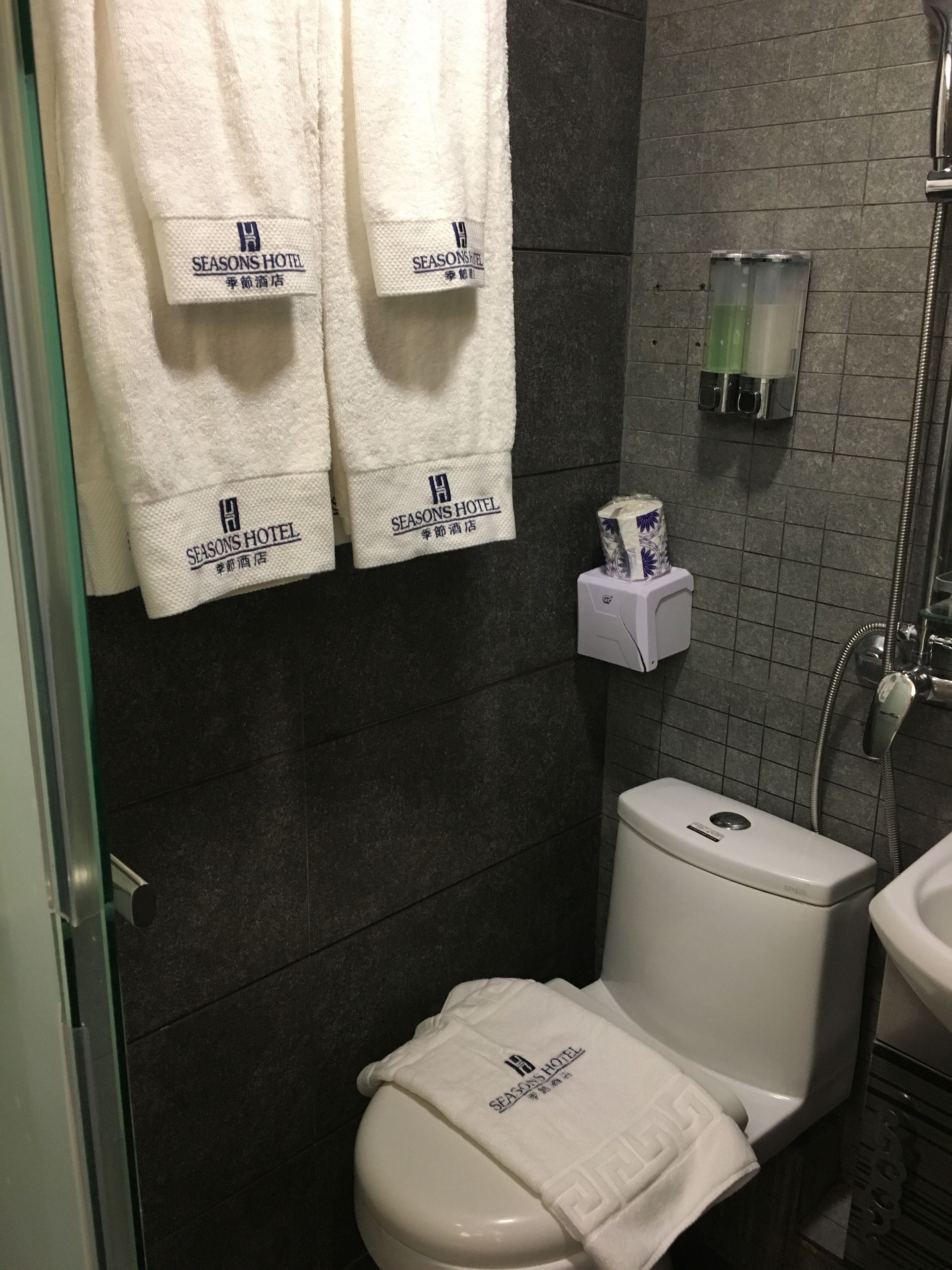 Foto - Seasons Hotel