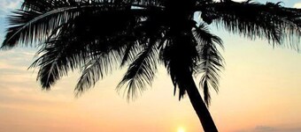 Time N Tide Beach Resort