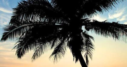 Time N Tide Beach Resort