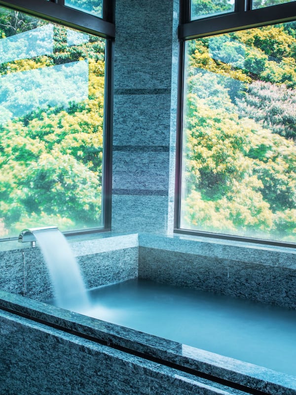 The Gaia Suite | Bathroom | Separate bathtub and shower, deep-soaking bathtub, hair dryer, bathrobes