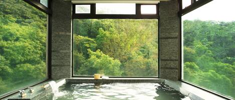 The Gaia Suite | View from room