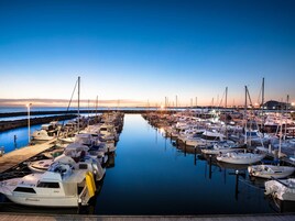 Vista desde la propiedad