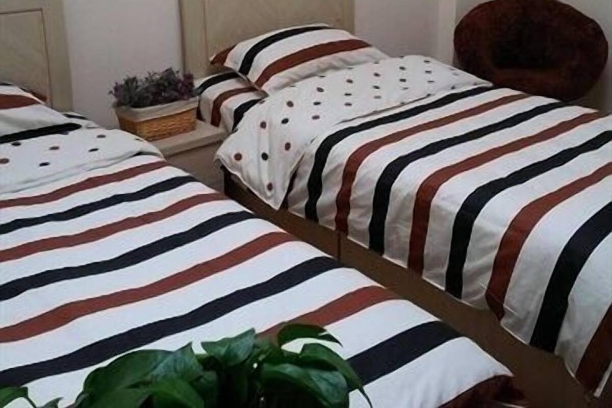 A hotel room with two beds, each with striped bedding, a small side table with a plant, and a chair.