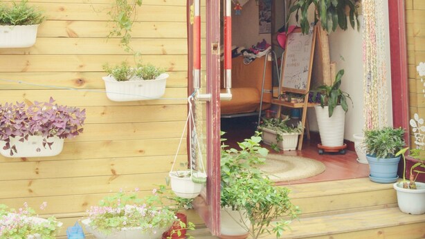 Un hostal con fachada de madera, varias plantas en macetas y un letrero que indica que es el Hostal Topic.