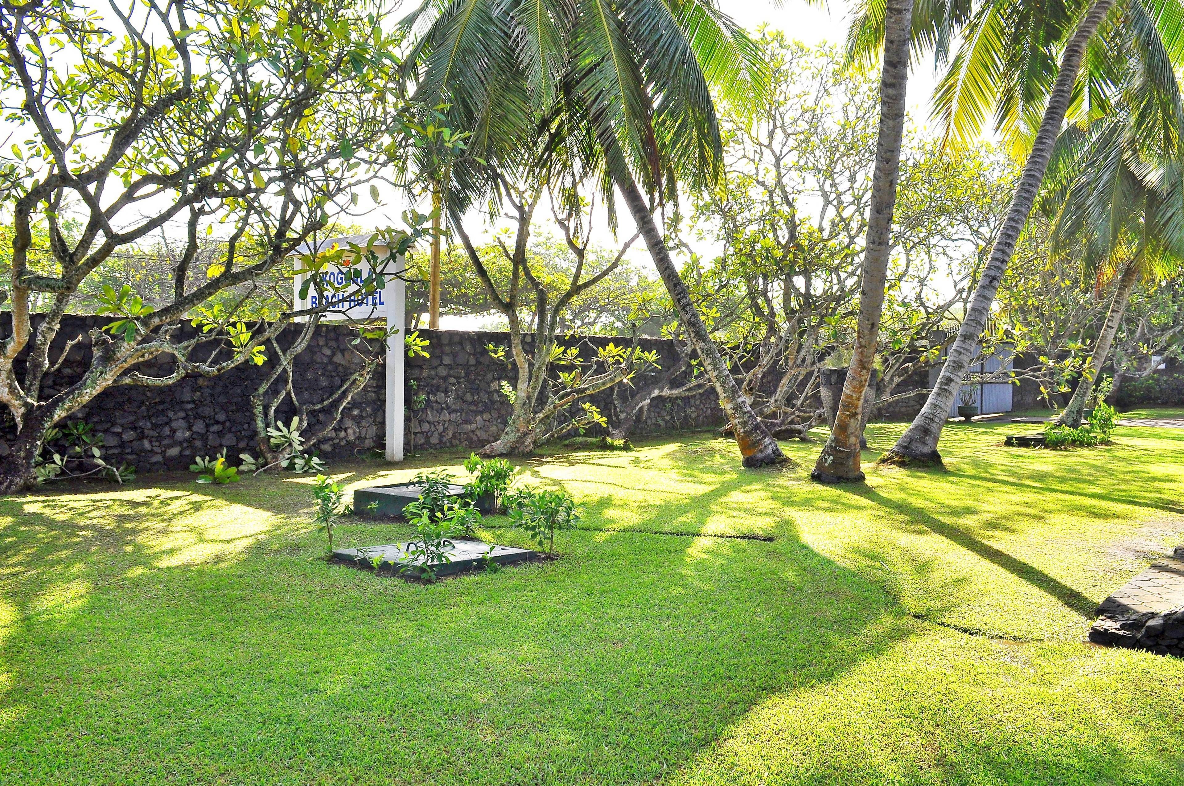 A well-maintained garden with a stone wall, palm trees, and a sign for a bed and breakfast.