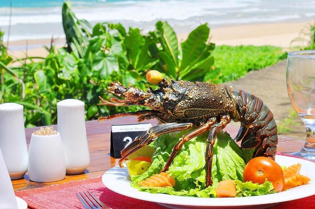 A lobster on a plate with salad and a glass of water on a table with a beach view.