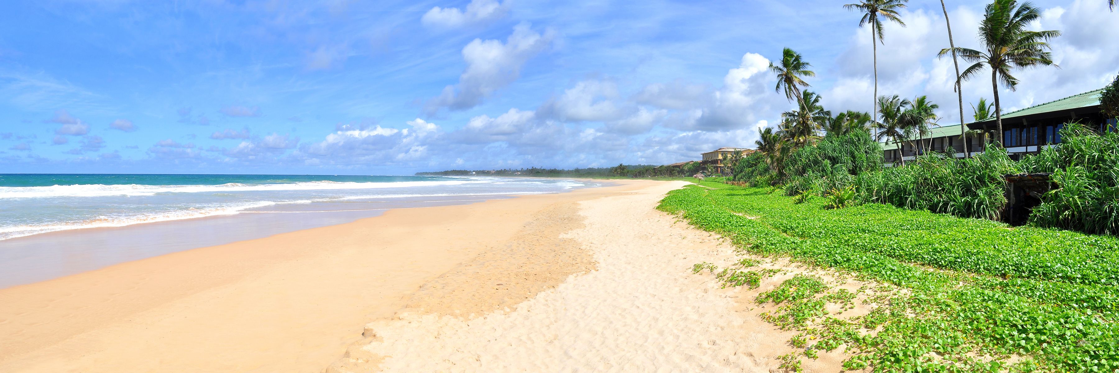A beach with a sandy shore, palm trees, and a building with a green roof.