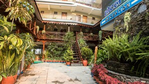 Un área de recepción con pared de piedra, plantas en macetas y una escalera.