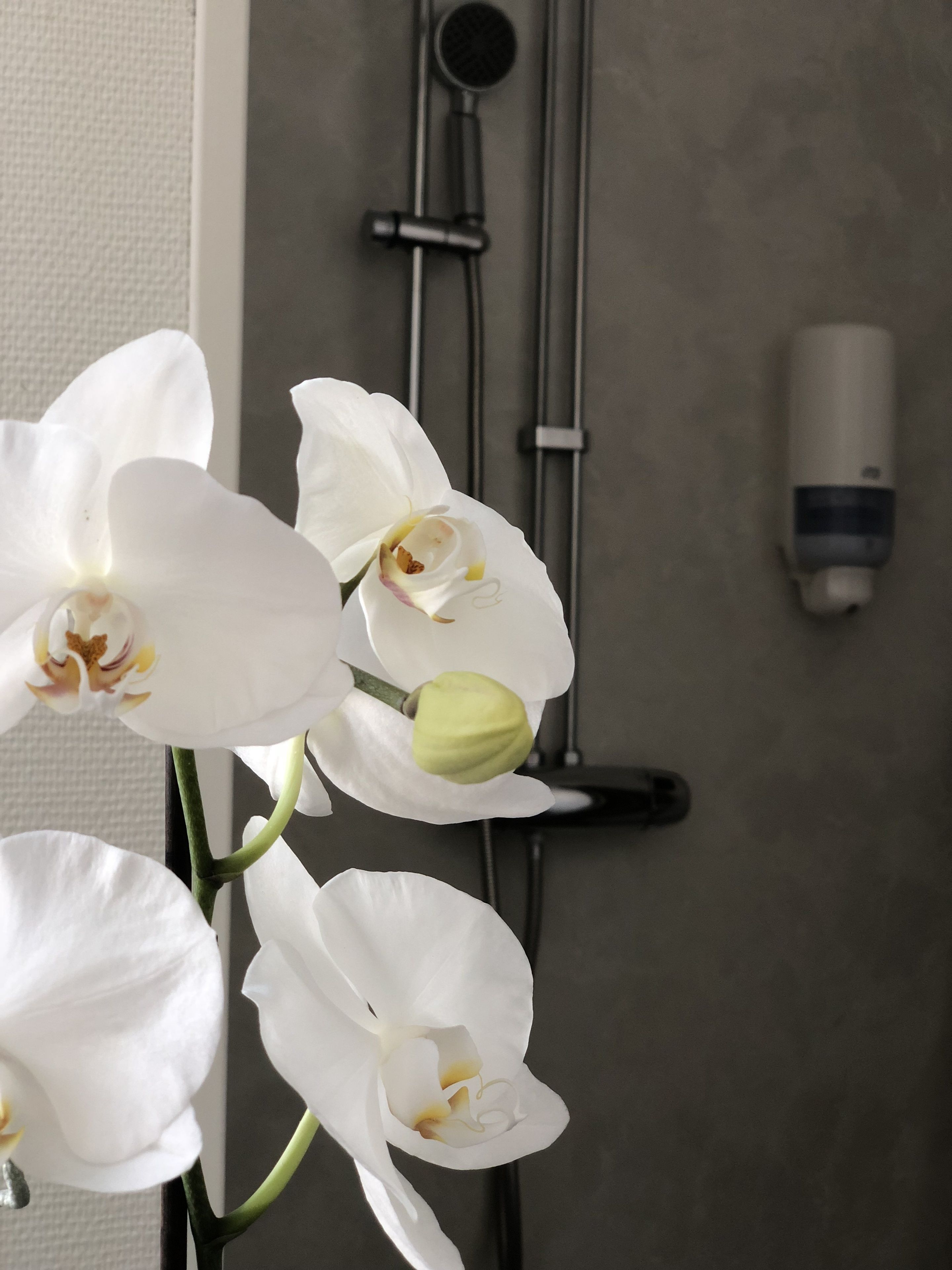 A bathroom with a shower, a hand dryer, and white orchids.