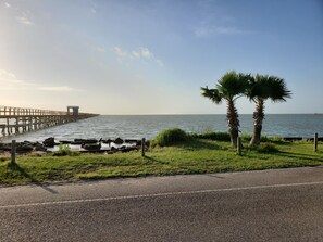 A coastal road with a wooden pier extending into the sea, a palm tree, and a grassy area. - Hunt's Castle (Rockport)