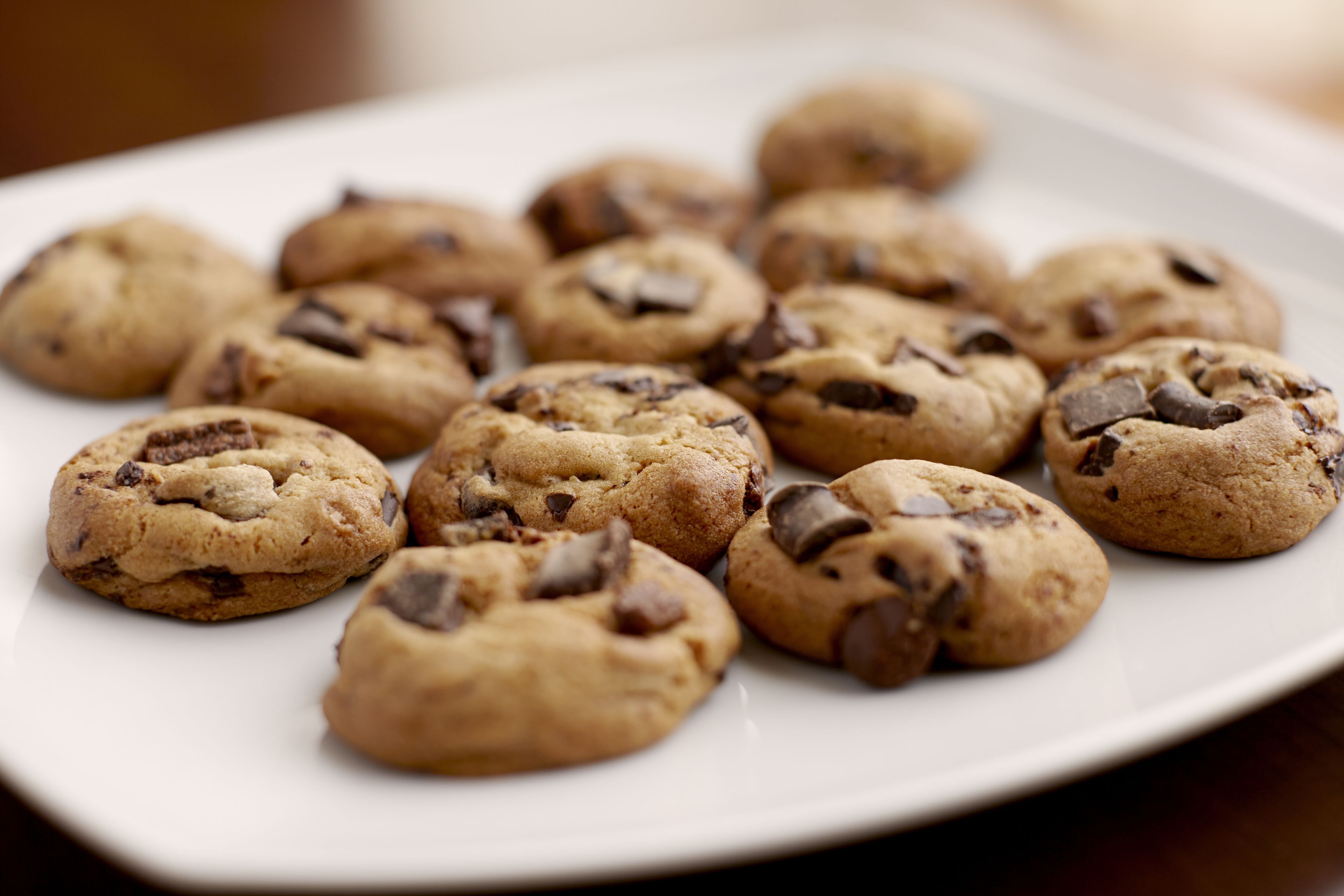A plate of chocolate chip cookies.