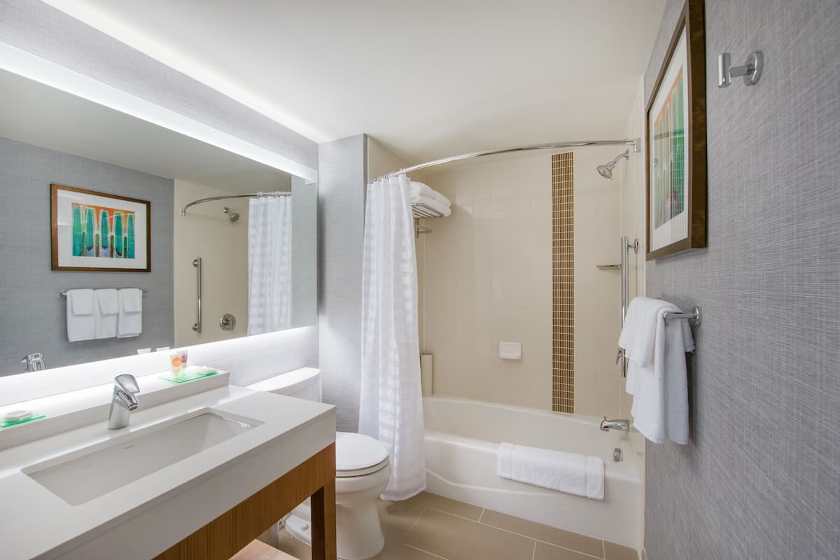 designer toiletries, hair dryer, towels