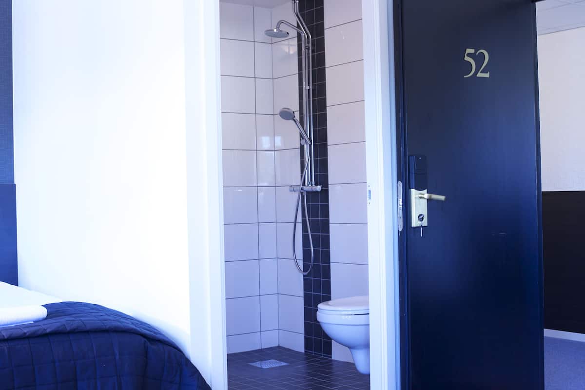 Tek Kişilik Oda | Masa, güneşlik/perde, ütü/ütü masası, ücretsiz kablosuz İnternet