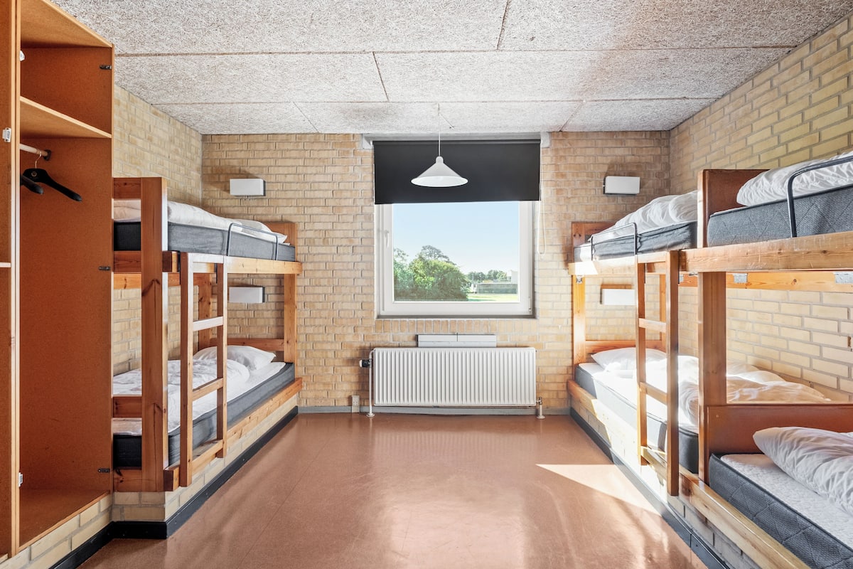 Habitación tipo dormitorio con literas, un radiador y una ventana con vistas a árboles.