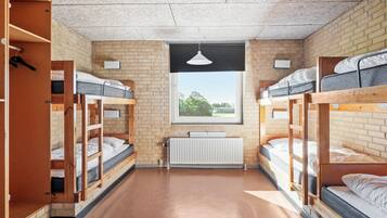 A dormitory room with bunk beds, a radiator, and a window with a view of trees.
