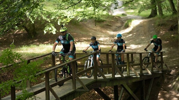 A wooden bridge in a forested area with cyclists on it.