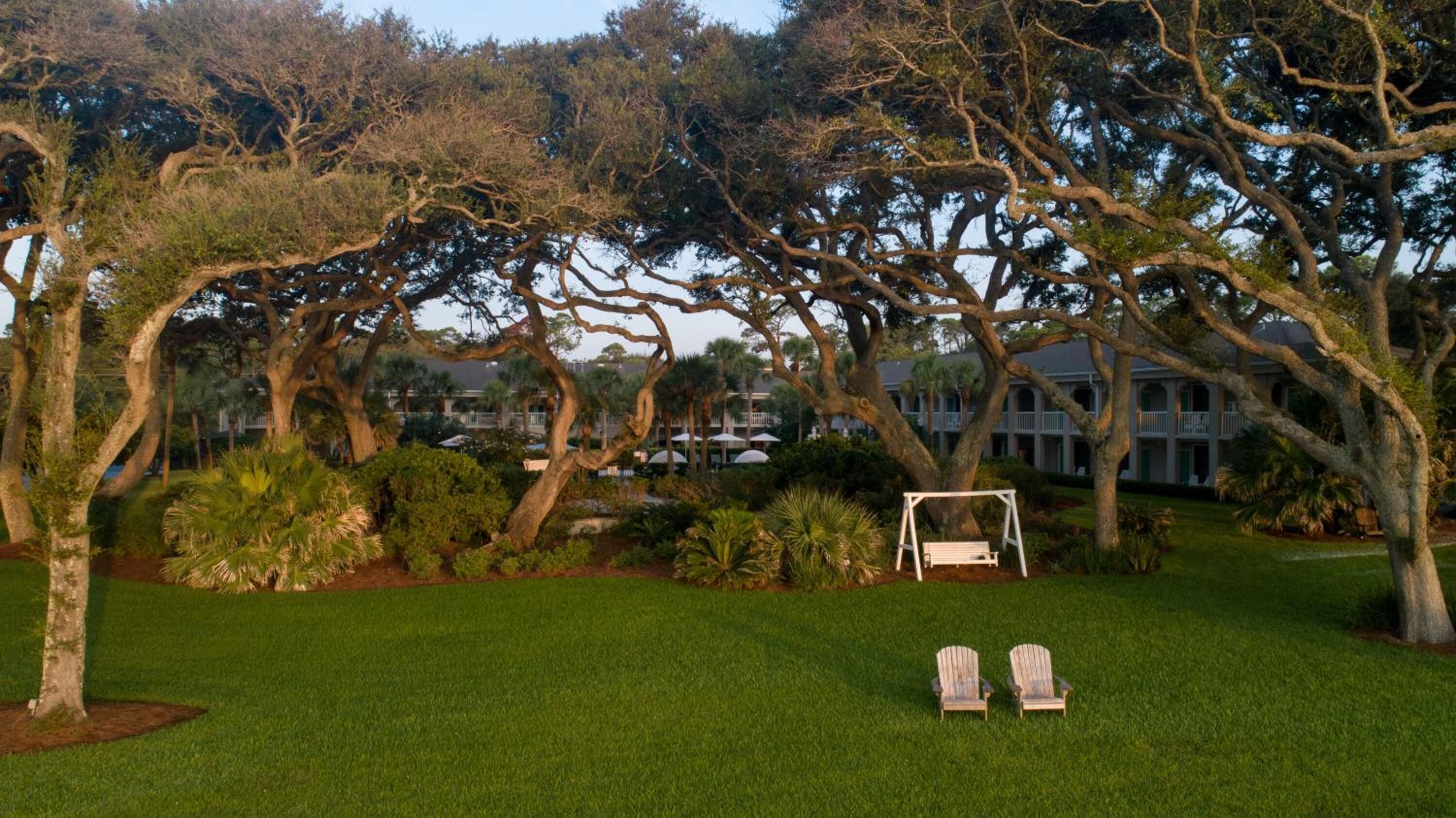 Un césped bien cuidado con dos sillas Adirondack, un columpio y un árbol grande de ramas extendidas.