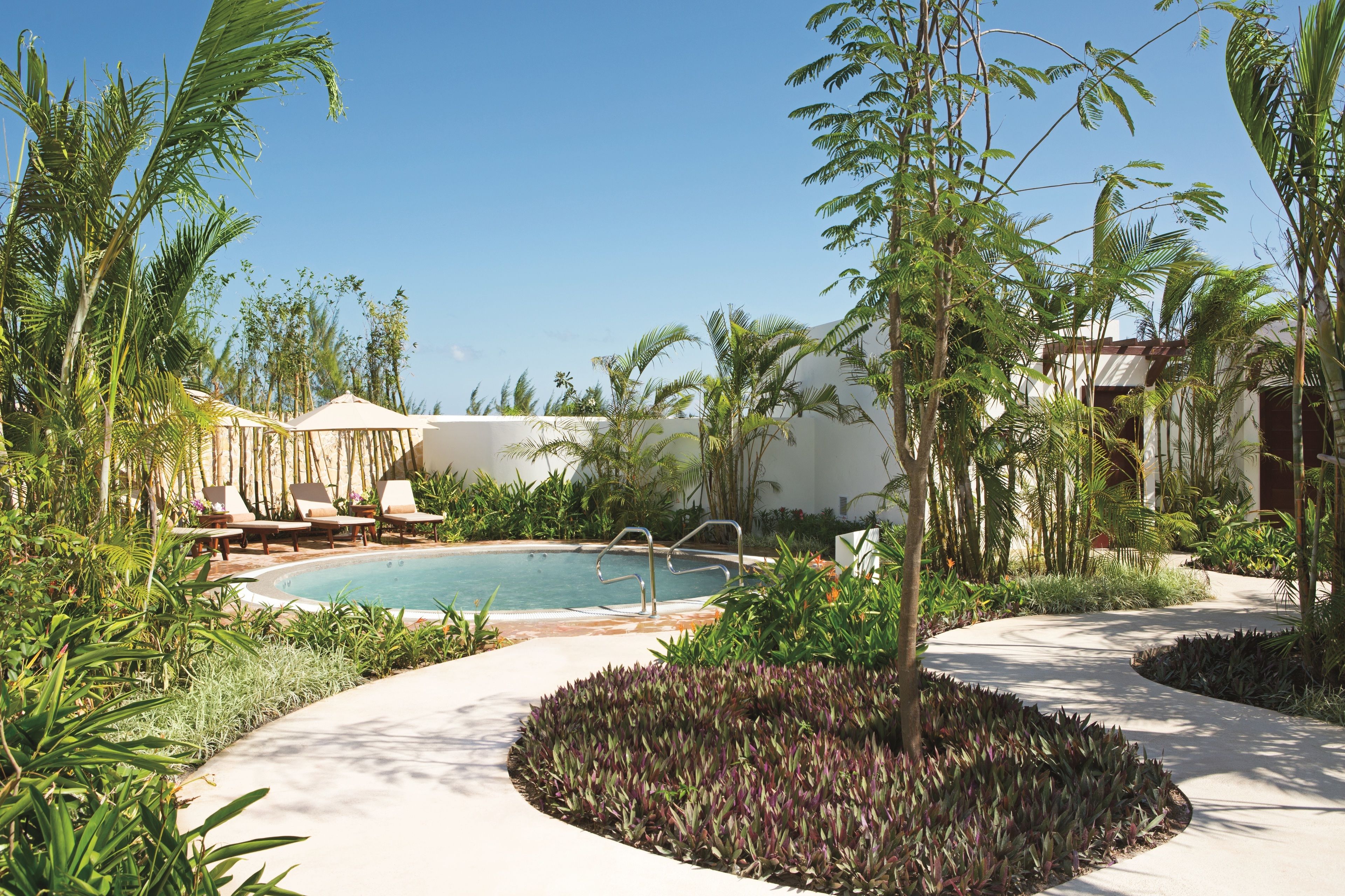 Zona de piscina con sillones de descanso y una piscina rodeada de plantas tropicales.