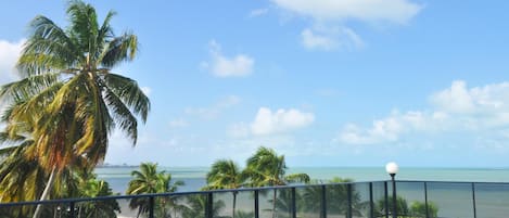 Piscina externa, guarda-sóis, espreguiçadeiras