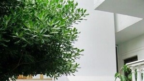 A courtyard with potted plants, a chair, and an elevator. - Aretousa Hotel (Skiathos)