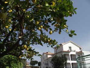 Property grounds - Residence Il Borgo degli Ulivi Resort (Pietra Ligure)