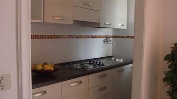 Full-sized fridge, cookware/dishes/utensils