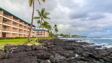 A hotel with multiple balconies, a rocky shoreline, and palm trees.