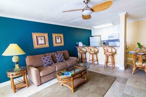 公寓式客房, 1 间卧室 | 起居区 | 30-英寸纯平电视（配备有线频道）、电视、DVD 播放器