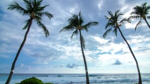 A beach with palm trees and the ocean. - Kona Reef, A Raintree Vacation Club Resort (Kailua-Kona)