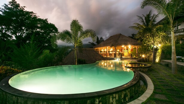 A swimming pool with a stone edge, surrounded by tropical vegetation and palm trees.