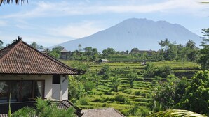A traditional house with a tiled roof, surrounded by lush green terraced fields and a mountain in the background.