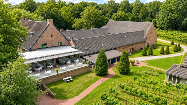 Vineyard