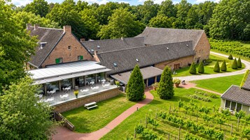Vineyard