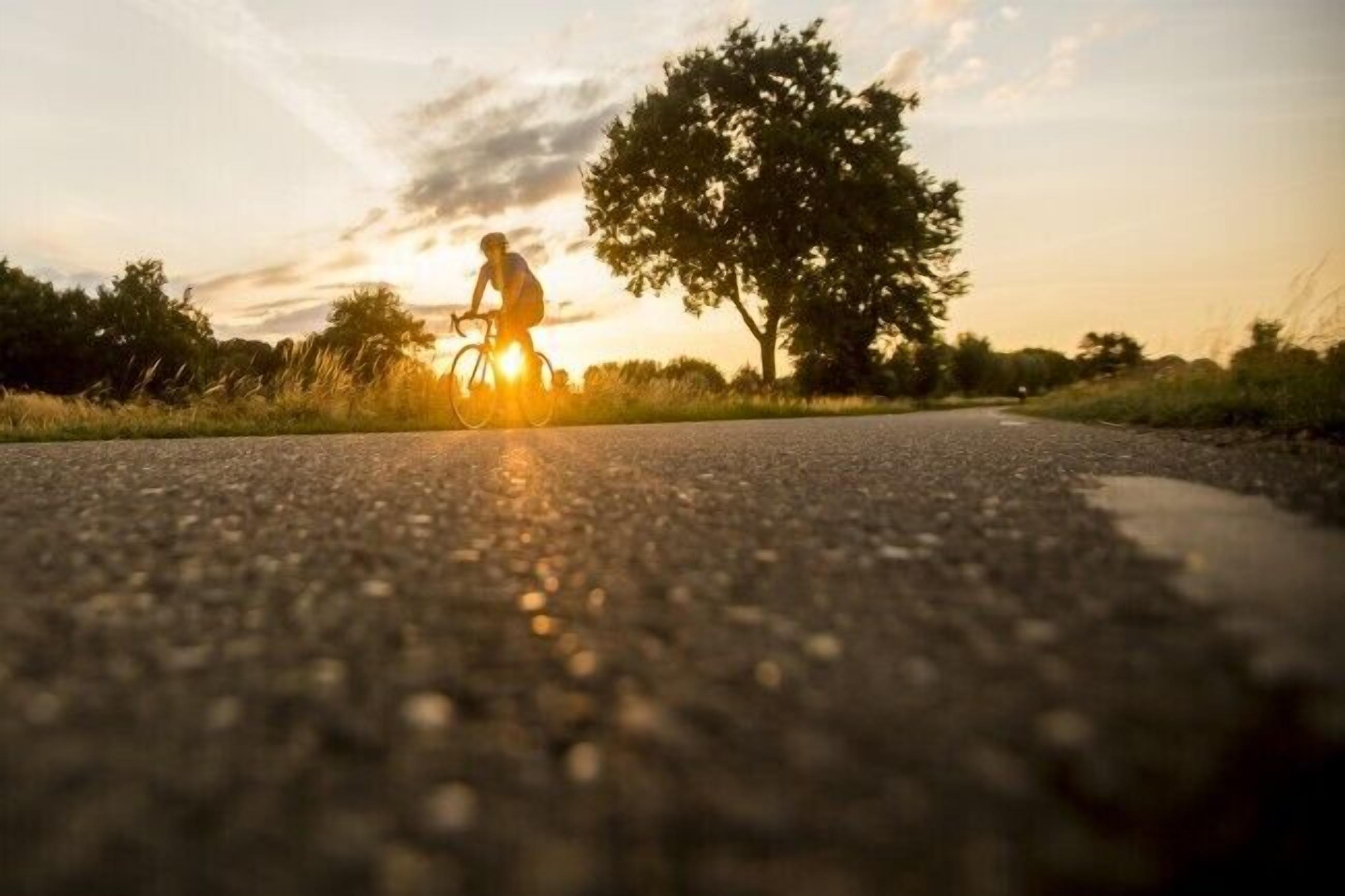 A road with a cyclist in the distance, surrounded by trees and a clear sky.