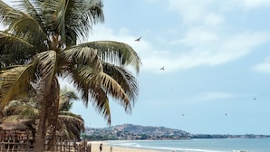 Una playa con palmeras, una cerca de madera y vistas al océano.