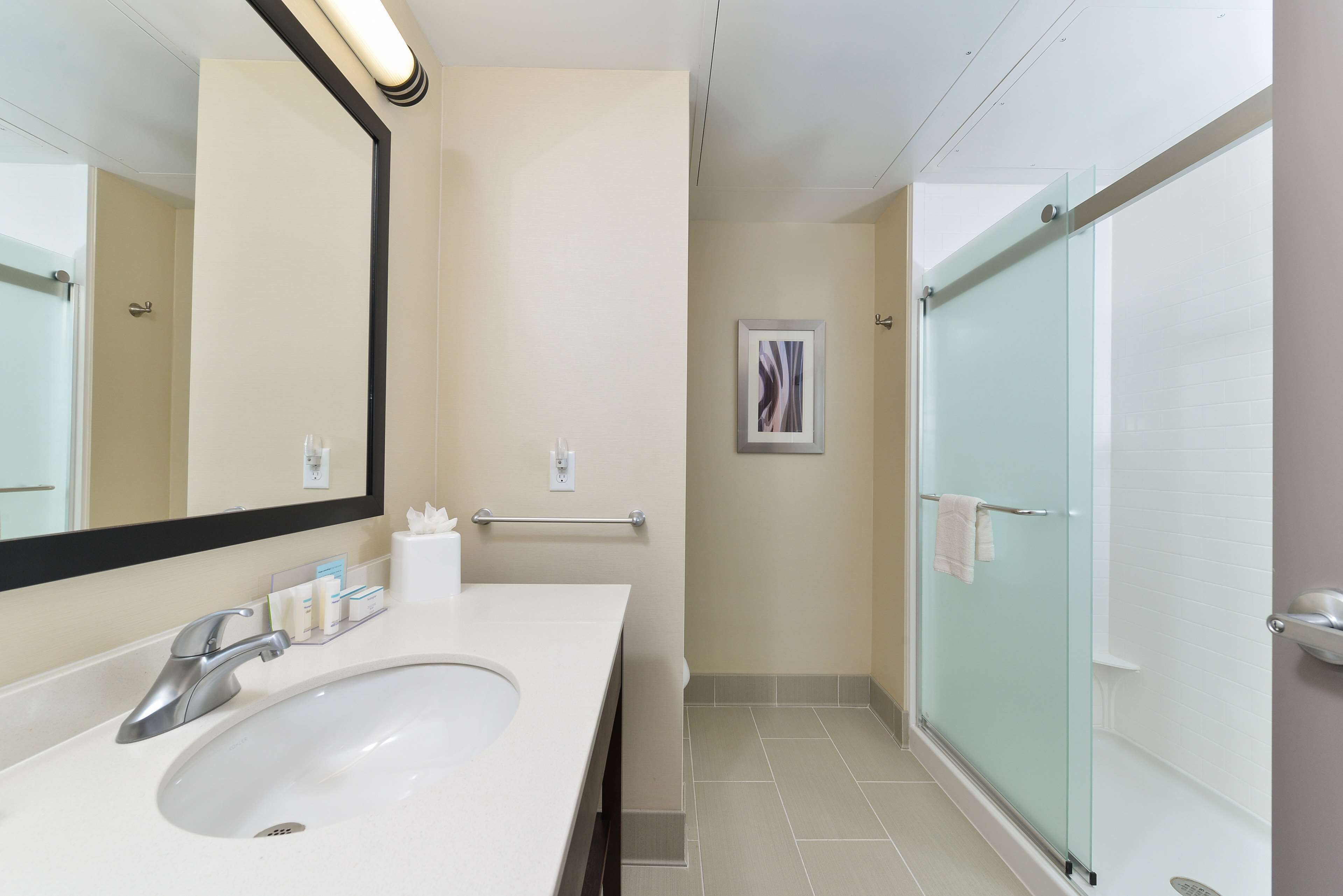 Une salle de bain moderne avec un grand lavabo, un miroir, une douche en verre et un tableau encadré au mur.