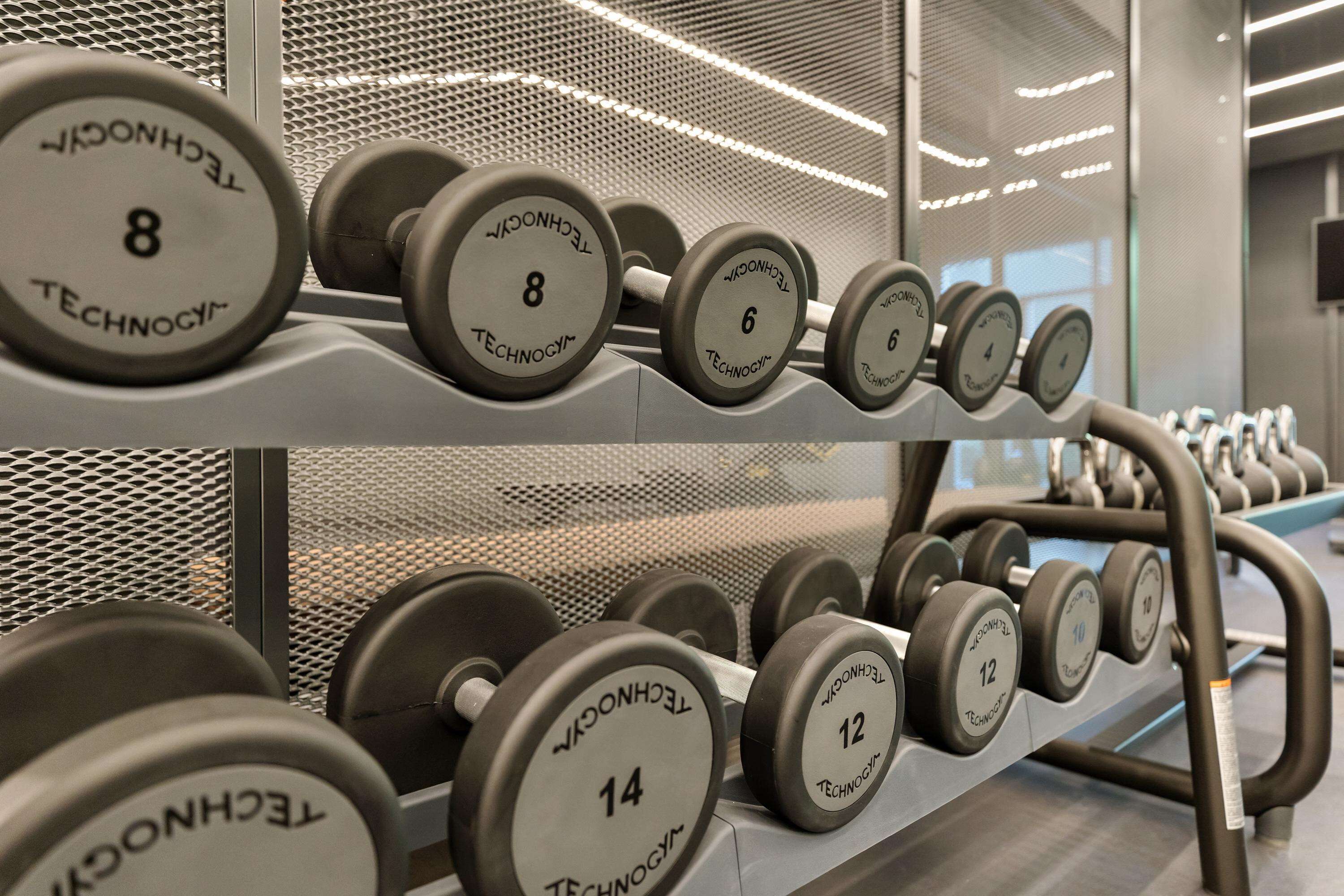 A row of dumbbells on a rack with visible weight markings.