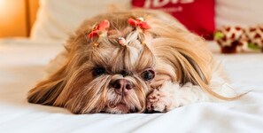 ATM/banking on site - ibis Mogi das Cruzes Shopping (Mogi das Cruzes)