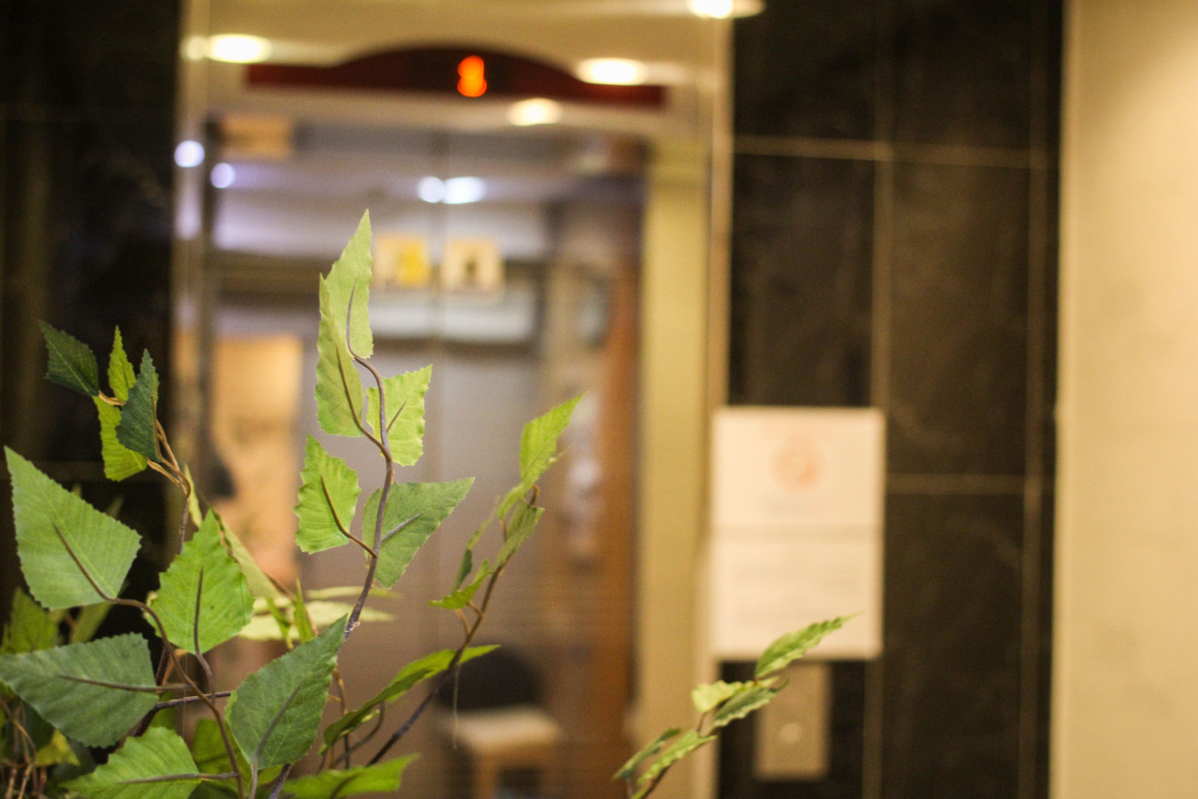 Foto - Must Stay Hotel Myeongdong