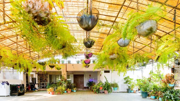 A spacious indoor area with a high ceiling, various hanging planters, and potted plants arranged around the perimeter. - Newgrange Condotel (Quezon City)