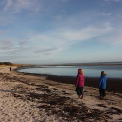Plage, sable blanc, serviettes de plage